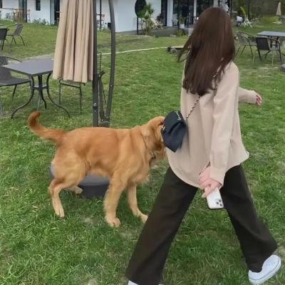 美丽心灵